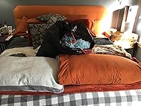 Review Image by S. Hall S. Hall