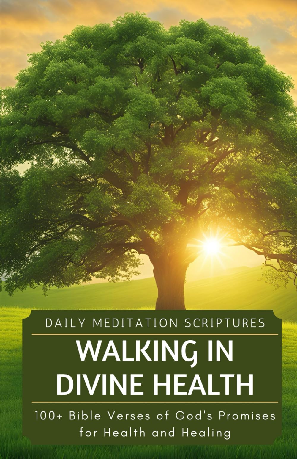 Walking in Divine Health: 100+ Bible Verses of God's Promises for Health and Healing (Daily Meditation Scriptures)