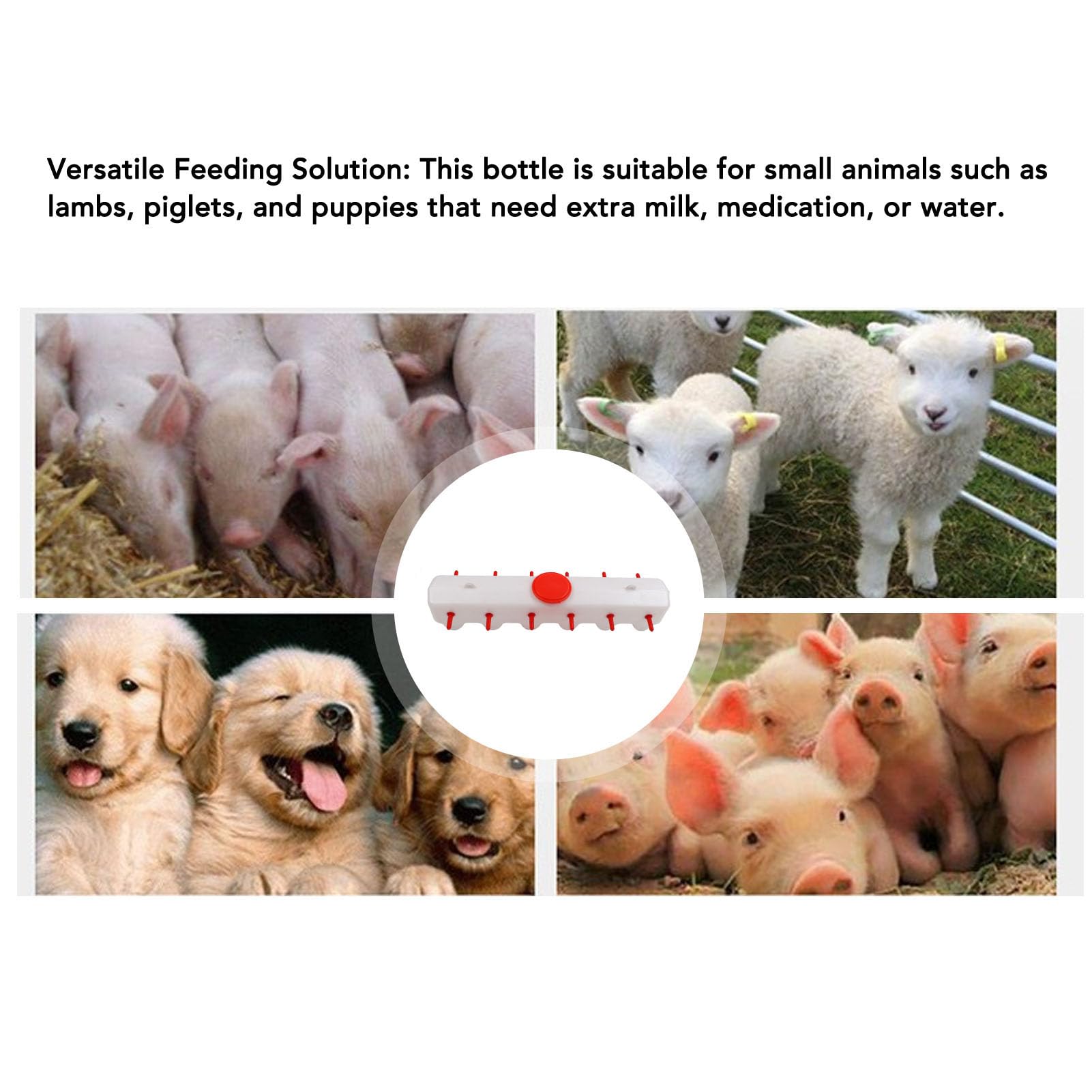 Capra Agnello Latte Capezzoli Mangiatoia Rossa Secchio per Bestiame 2 Lati con 12 Capezzoli capacità 9 Litri Mangiatoia per Latte per Animali Maialino Cucciolo Fattoria
