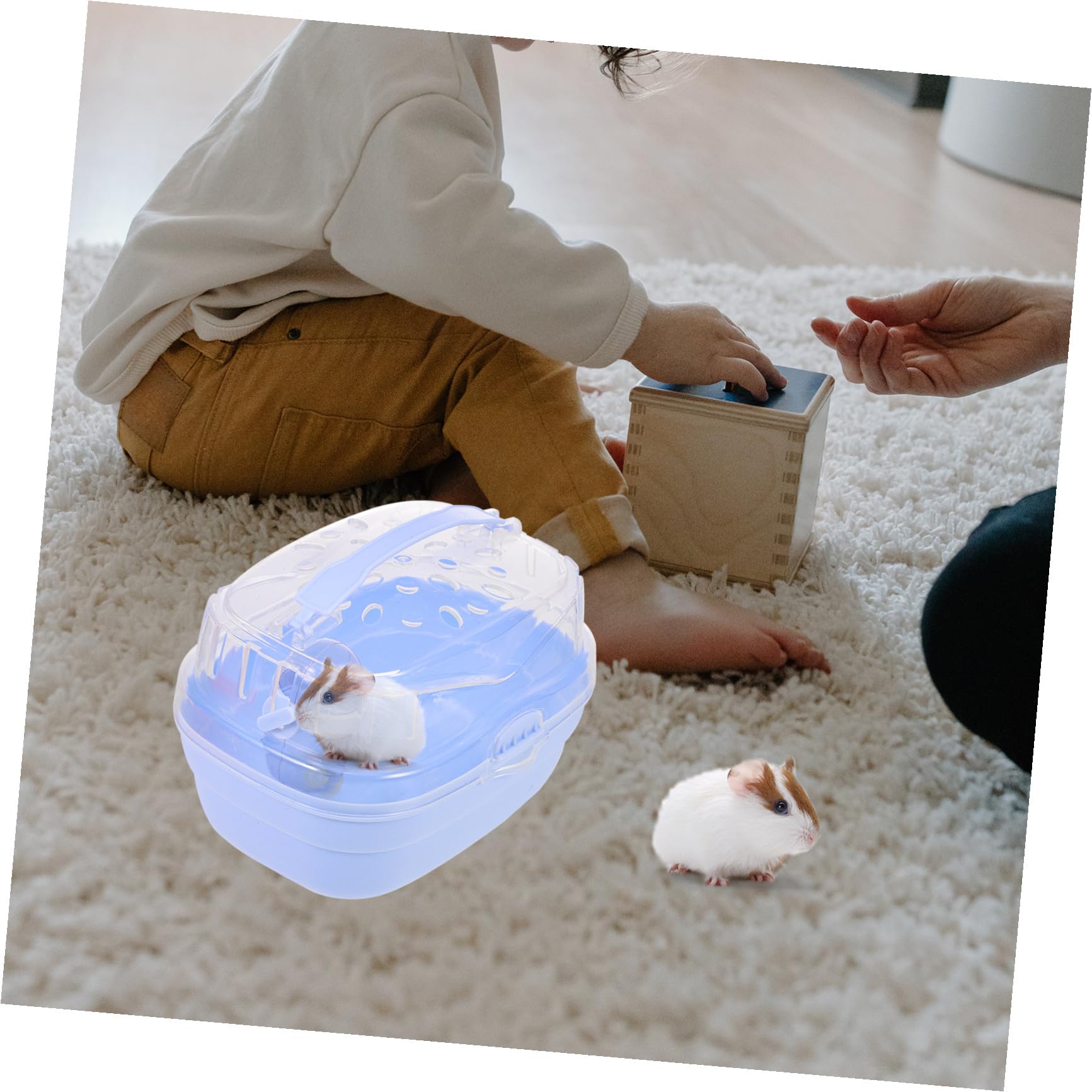 TOYANDONA Chinchilla Käfig für Kleintiere Hamsterkäfig Klein aus Robustem Material Reisekäfig für Hamster mit Viel Bewegungsfreiheit Transportbox Leicht zu Reinigen