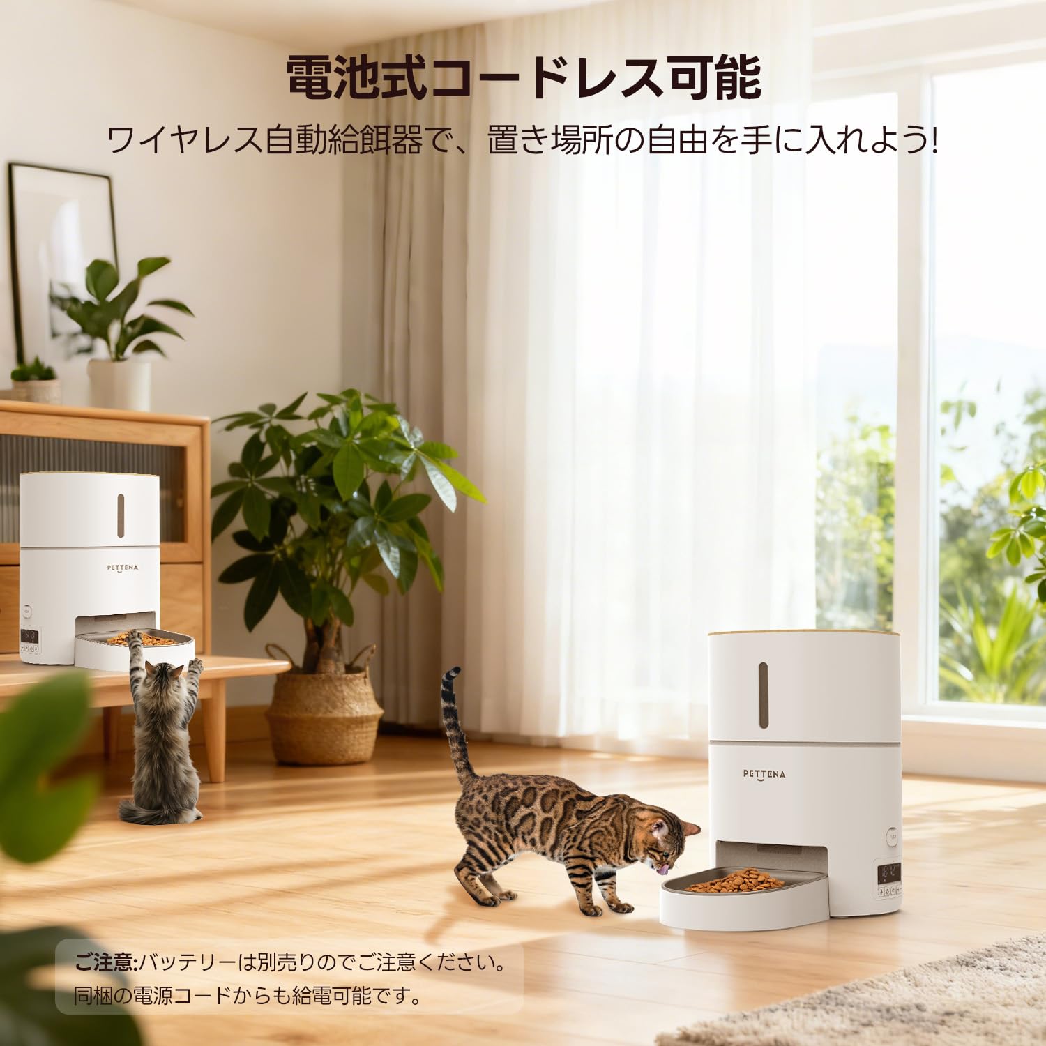 Amazon | 【4L大容量型】PETTENA 猫 自動給餌器 犬 タイマー式