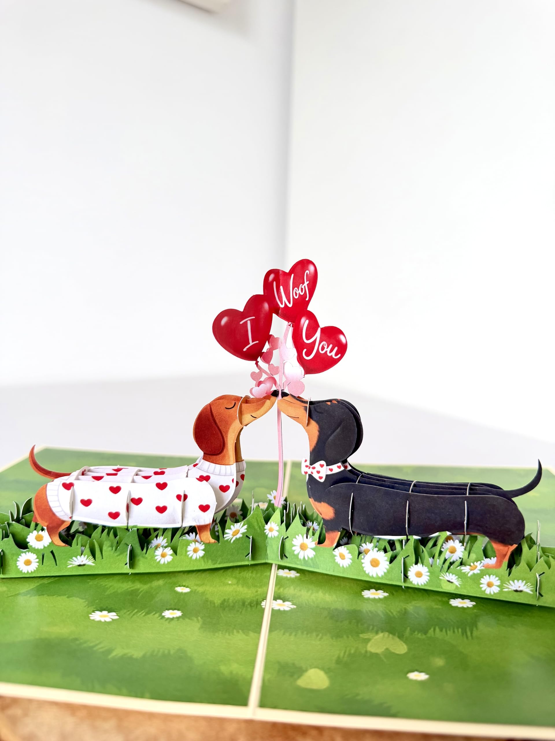 Dachshund Couple Kiss Pop Up Anniversary Cards, 3D Valentines Cards, Wedding Anniversary Card for Him Her Wife Husband Mum Dad Grandma, Birthday Card, Mothers Day 20cmx15cm