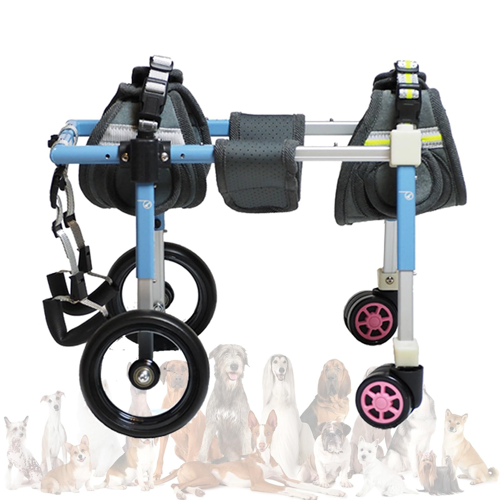 Fauteuil roulant pour chien avec aide à la marche XS bleu
