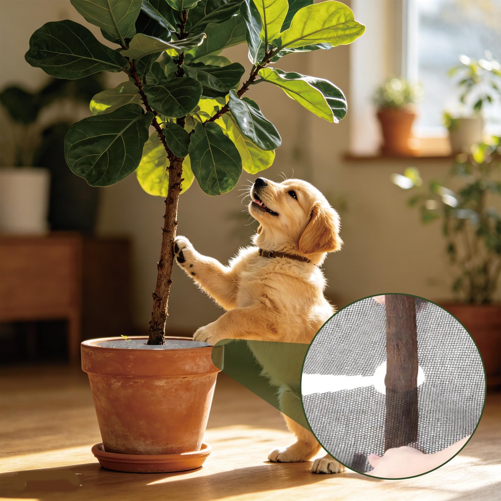 6 Pcs Plant Protectors from Animals, 11.8" /30cm Plant Garden Guard Cover for Indoor and Outdoor Plants, Round Cuttable Plant Pot Grid for Plant Protection from Digging Pets and Squirrels — view 5