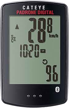 712hSelyZ1L._AC_UF350,