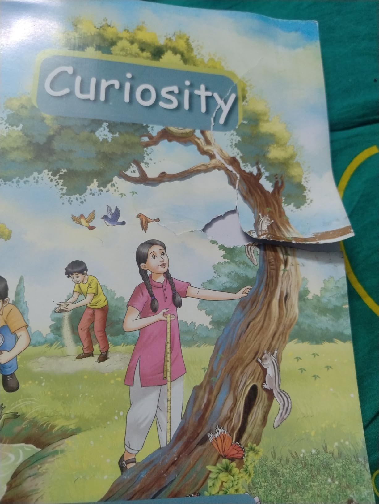 Curiosity Science Textbook VI