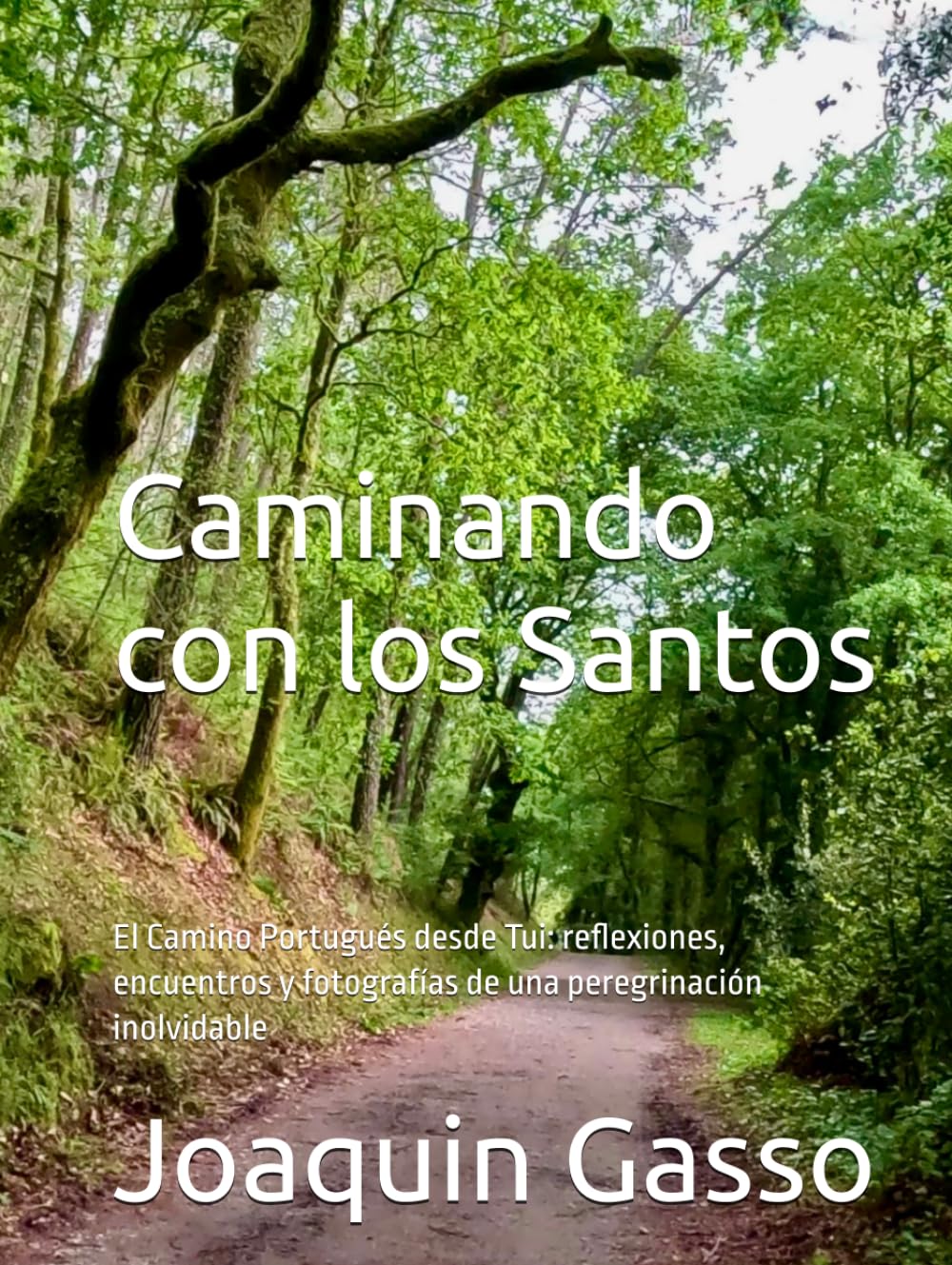 Caminando con los Santos: El Camino Portugués desde Tui: reflexiones, encuentros y fotografías de una peregrinación inolvidable