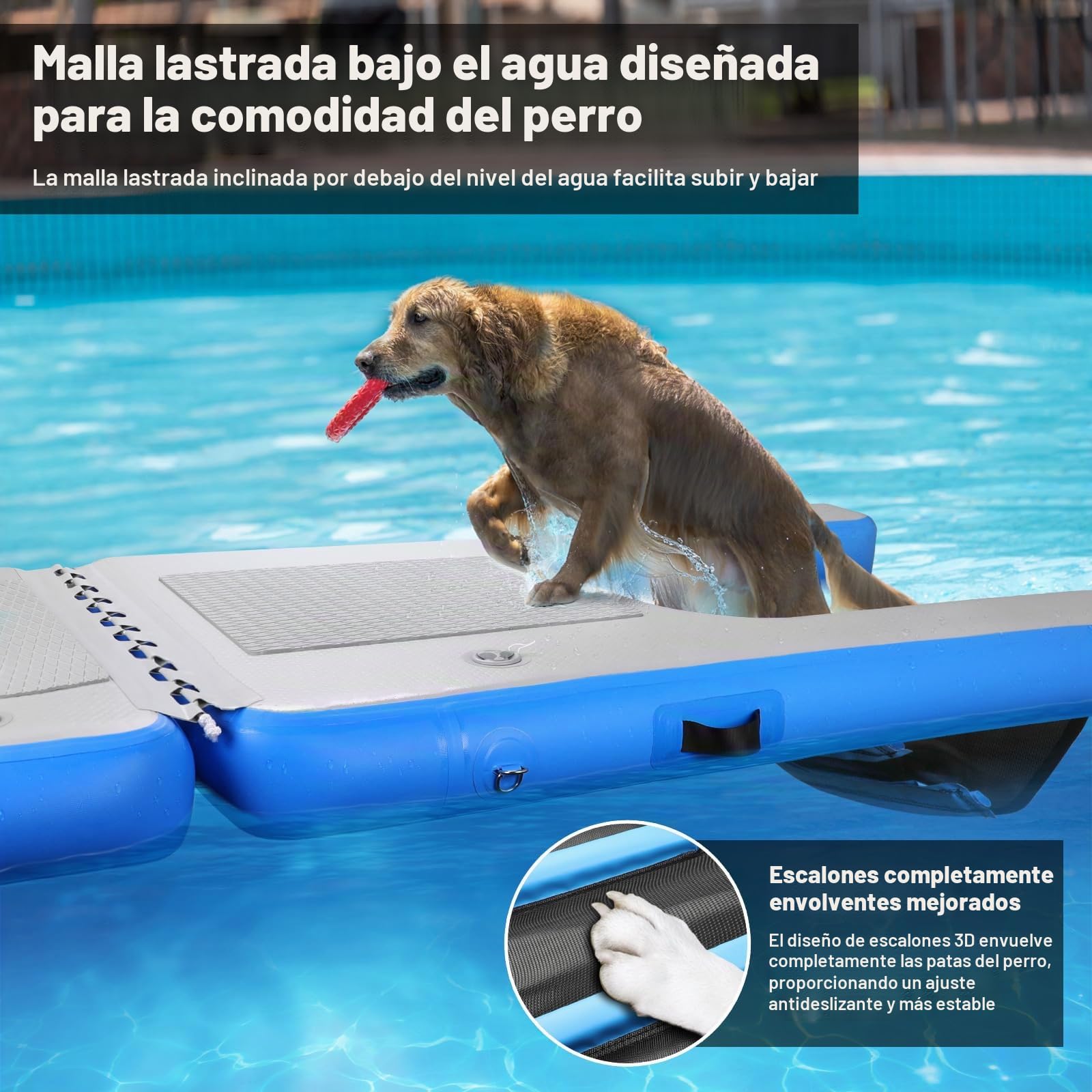 Rundik Flotador inflable de piscina para perros, rampa de barco para perros, superficie duradera resistente a pinchazos que garantiza un acceso seguro y fácil al agua para perros, escalera flotante