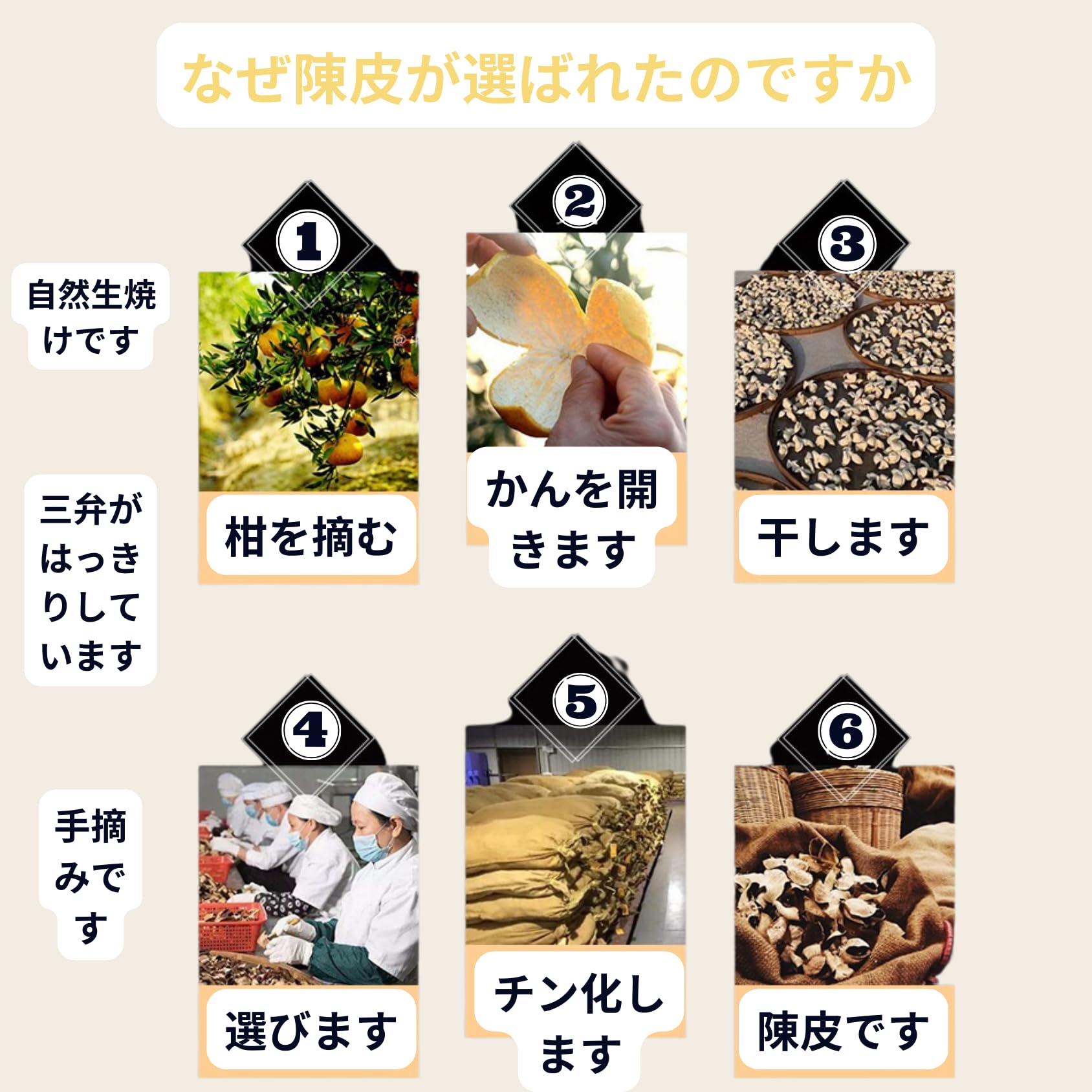 錦製の箱に収められた高級陳皮・密封未開封・高級茶材・薬膳料理・禮品 