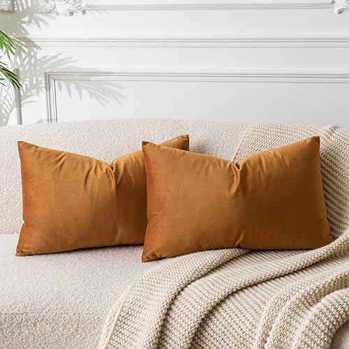 Juspurbet - Juego de 2 fundas decorativas de terciopelo para cojines de soporte lumbar, fundas con cremallera oculta para sofá o cama, para sala y