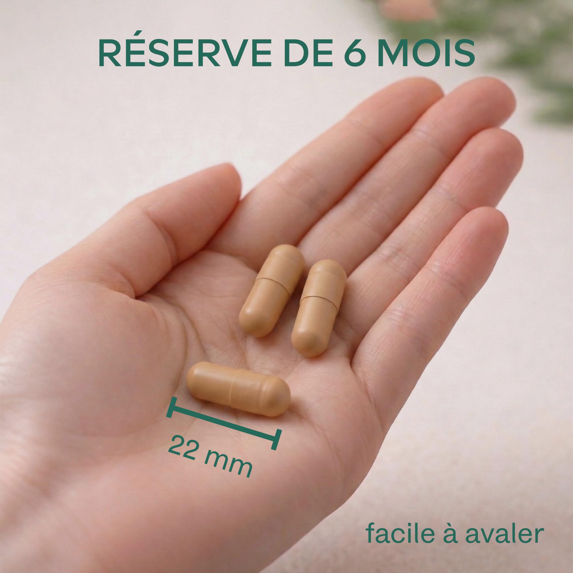 Ginkgo Biloba 7500mg 50:1 avec Panax Ginseng Rouge de Corée, Bacopa Monnieri, Zinc, Vitamine B Complex - Nootropique Puissant Circulation Sanguine, Memoire et Concentration, Energie - 180 Capsules
