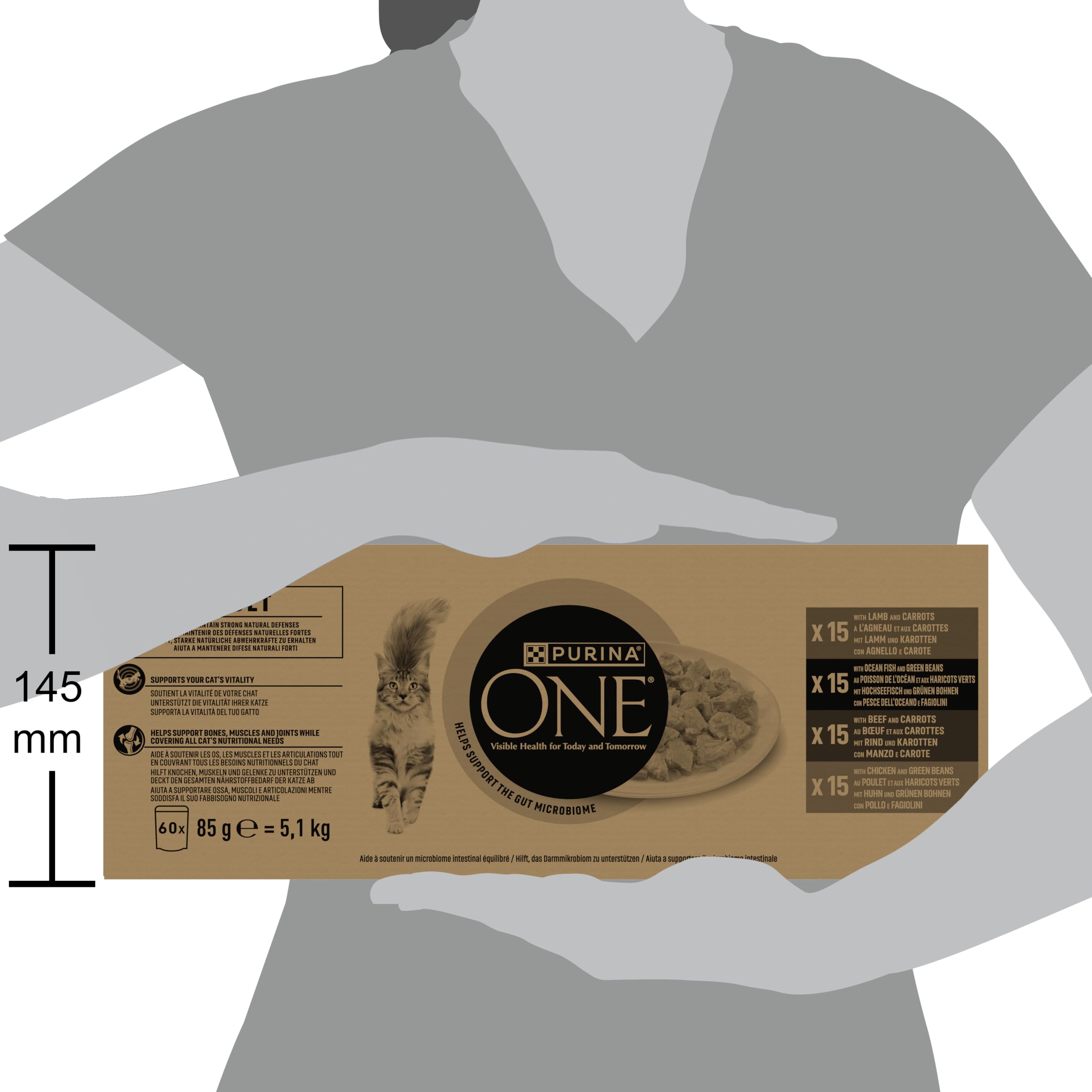 Purina ONE Bifensis Sensitive 60 x 85 g kurczak i tuńczyk
