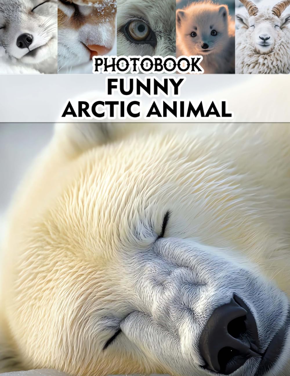 Funny Arachnid Photobook: A Collection of Hilarious Spider Moments for Nature Enthusiasts