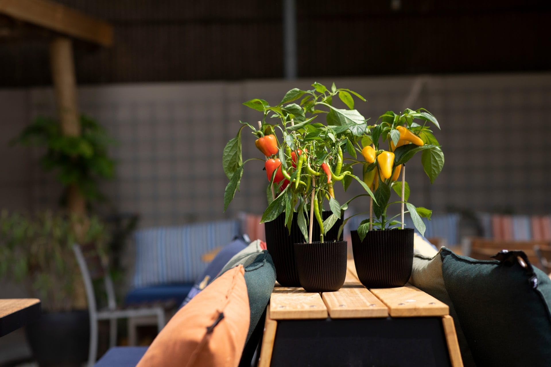 Capi Europe - Pot Boule Retro Gold & Copper - 14x13 - Or - Ouverture 12 - Pot Pour L'intérieur - BRTG132