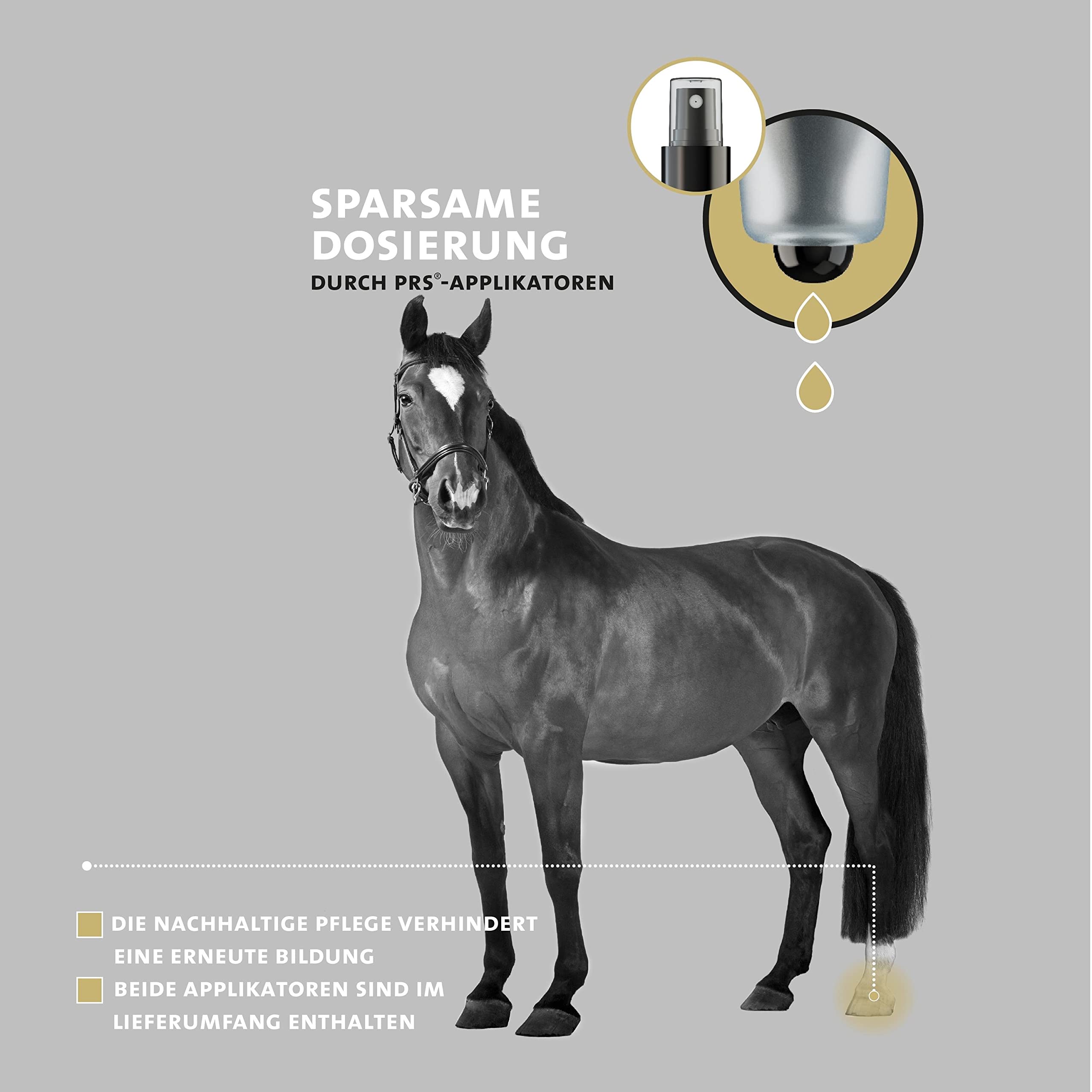 Peticare Strahlpflege Mittel für Pferde | gegen Strahlfäule | bei Fäulnis am Huf | lindert Verhärten & fördert Regenerationsprozess, einzigartiges PRS® System für Lange Wirkung – petHorse Health 2005
