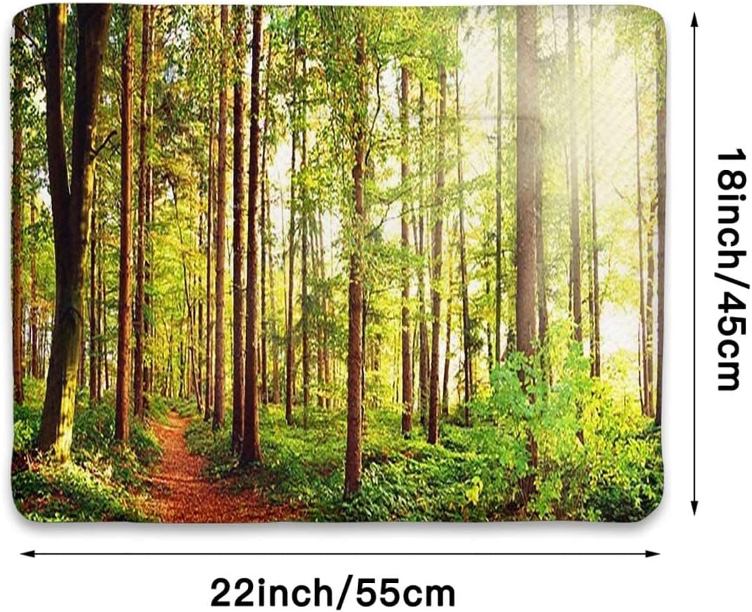 review Green Brown Ultra Soft Dog Cat Bed Mat Sunrays seen Through Trees Scenery Self Warming Crate Pad with Soft Sherpa Top for Dogs, Cats, Pets by Forest Scenic 18