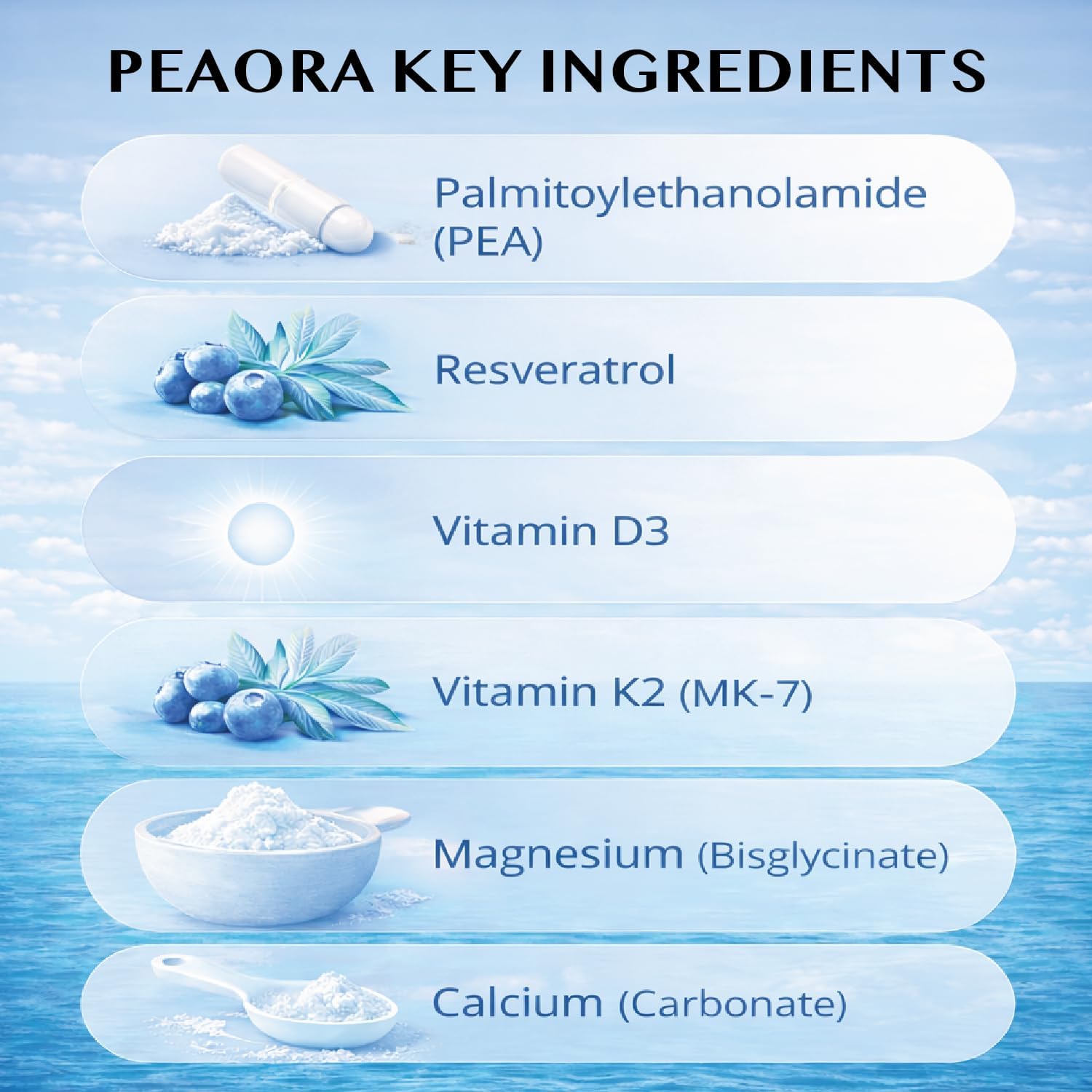 PEAORA PEA-500 - Support for Bladder, & Pelvic Discomfort | For Women & Men | Made in the USA | High-Absorption Palmitoylethanolamide & Resveratrol