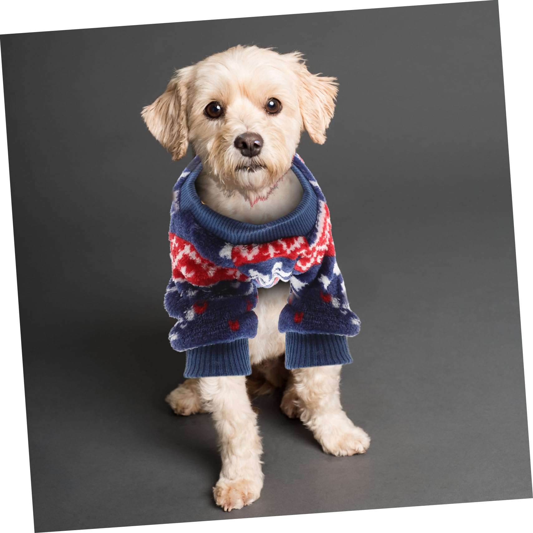 HMJGDHX 5 Pezzi Adorabili Vestiti di Natale per Animali Domestici Costume di Natale per Cani per Feste Abiti Comodi per Cani Abiti Caldi per Occasioni di Vacanza