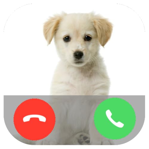 Dog Call