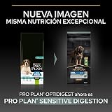 Ver la foto 2