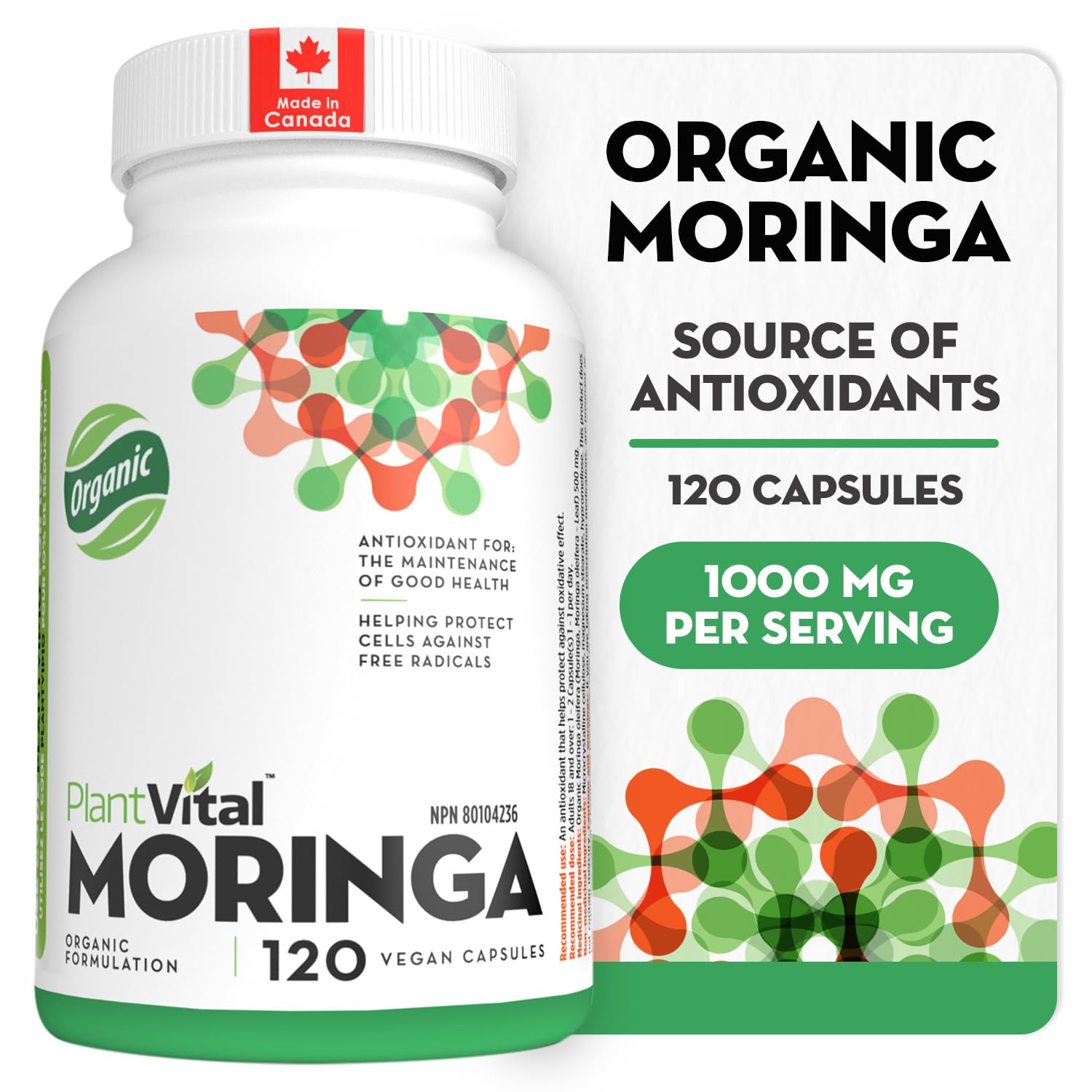 PlantVital Organic Moringa Leaf Capsules - Made in Canada - 1000mg High Potency (500mg per cap) Moringa Pure Capsules for Antioxidant, and Eye Health - Vegan, Non-GMO, Gluten Free (120 Count, 60 Days)