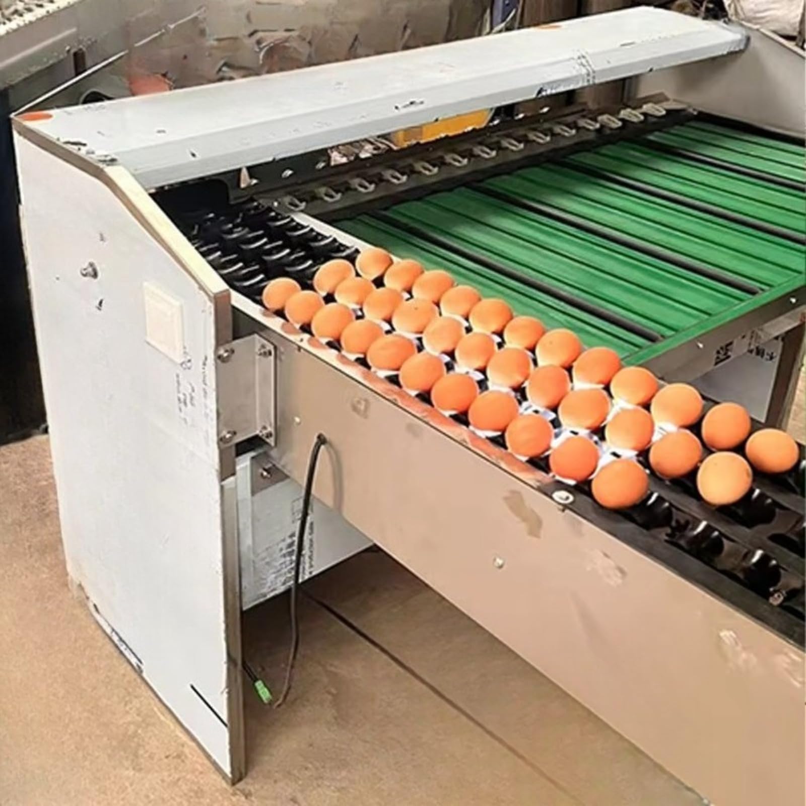 Macchina automatica per la classificazione delle uova con ispezione