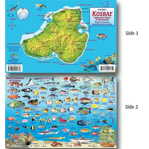 Franko Maps Kosrae Micronesia Reef Dive Creature Guide 5.5 X 8.5 Inch