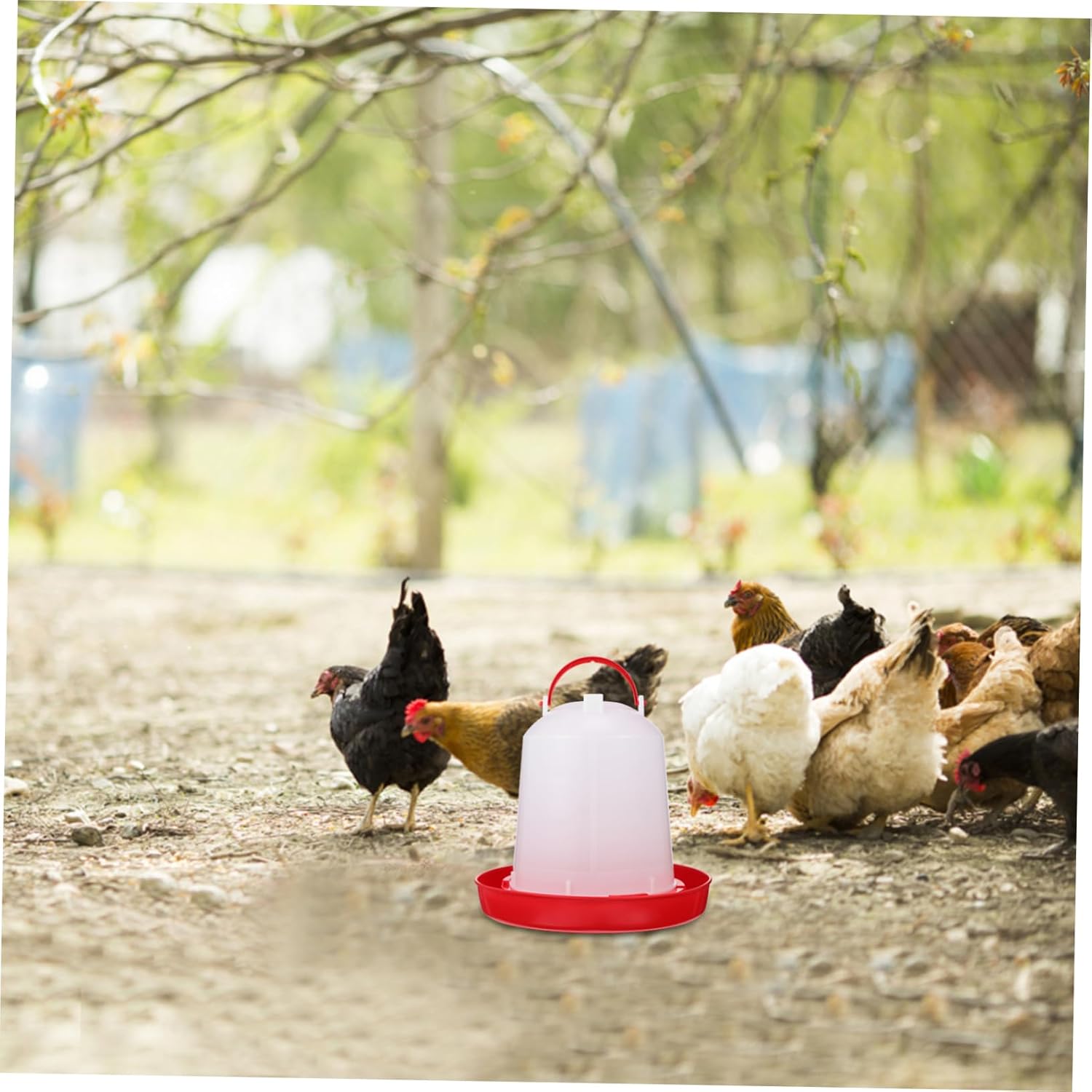 Automatic Refill Poultry Drinker Chicken Water Bucket Bird Waterer for Home Farm Heat-Resistant Design Random Style