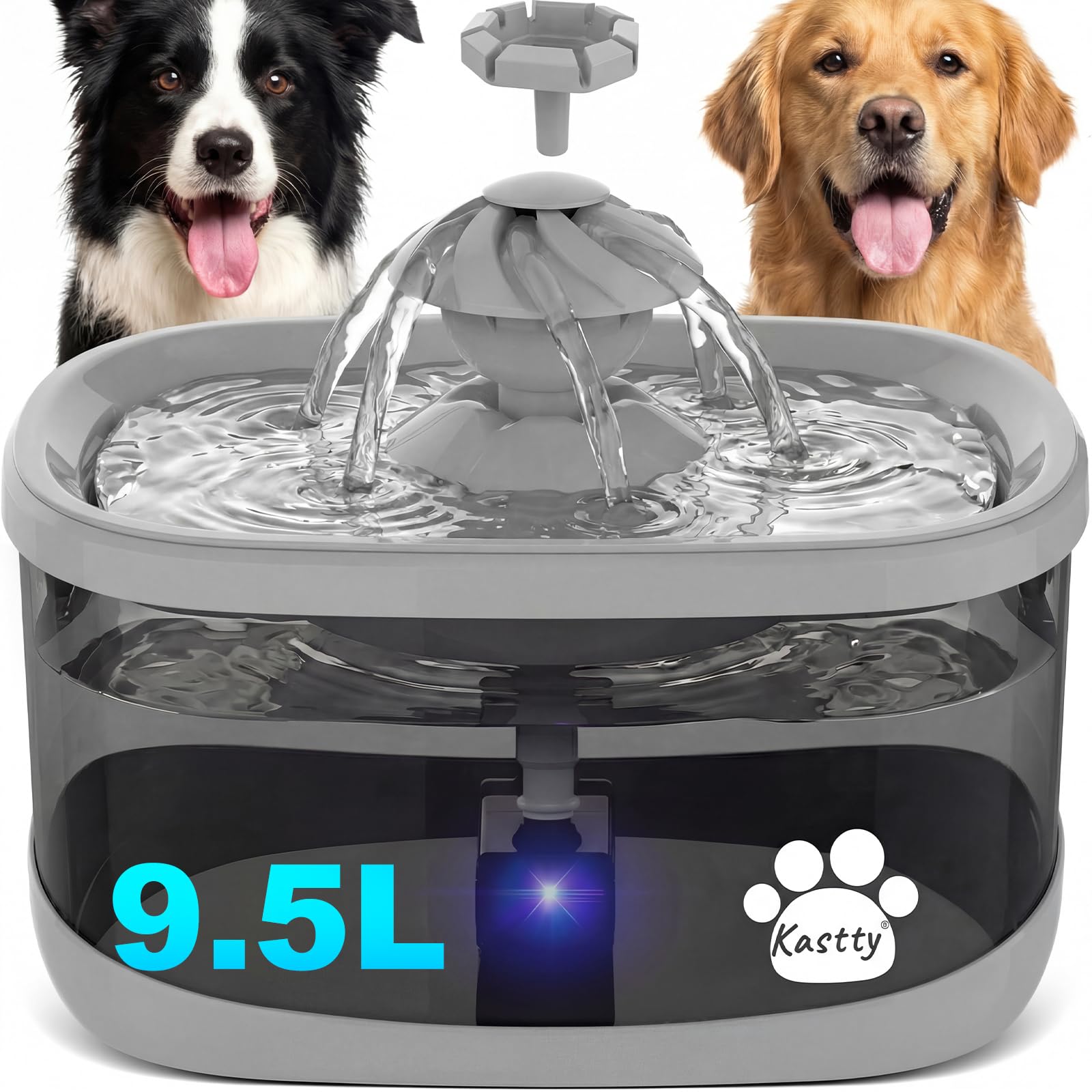 Fontaine à eau pour chiens grande capacité pour week-end serein en famille