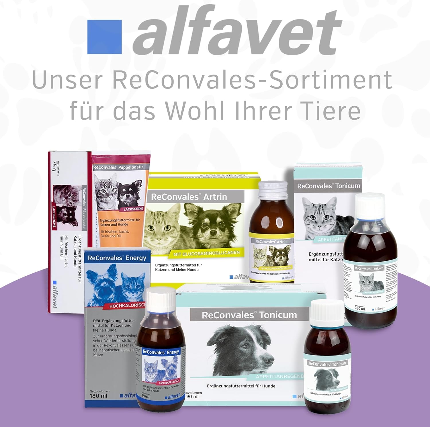 Alfavet ReConvales AntiPhos, zur Unterstützung der Nierenfunktion von Katzen und Hunden, Nahrungsergänzung mit Phosphatbinder, 3 x 90 ml Flaschen