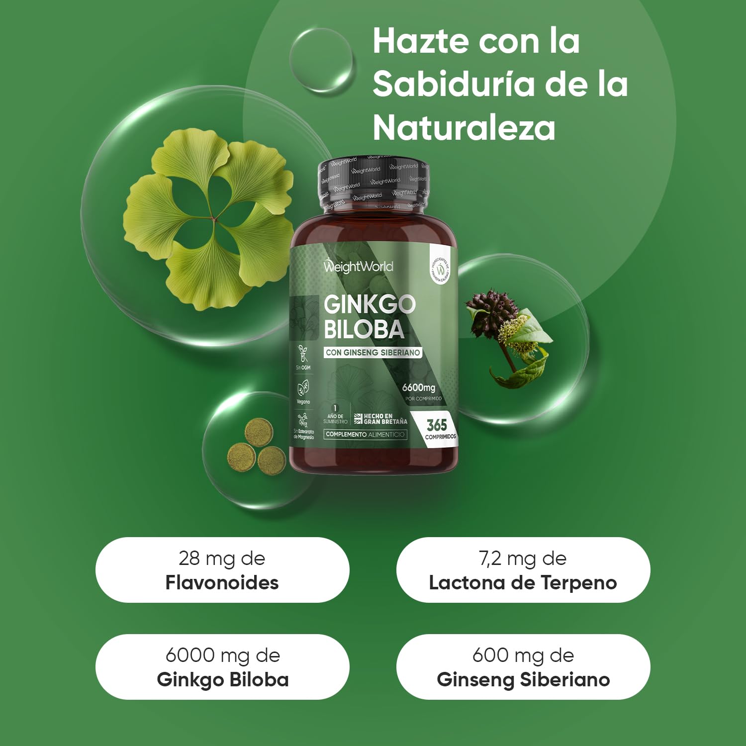 Ginkgo Biloba 6600 mg - 365 Comprimidos Veganos con Ginseng Siberiano 50:1 - Con 28 mg Flavonoides y 7,2 mg Terpenos - Suplemento de Origen Natural para 1 Año, Sin Gluten ni Estearato de Magnesio