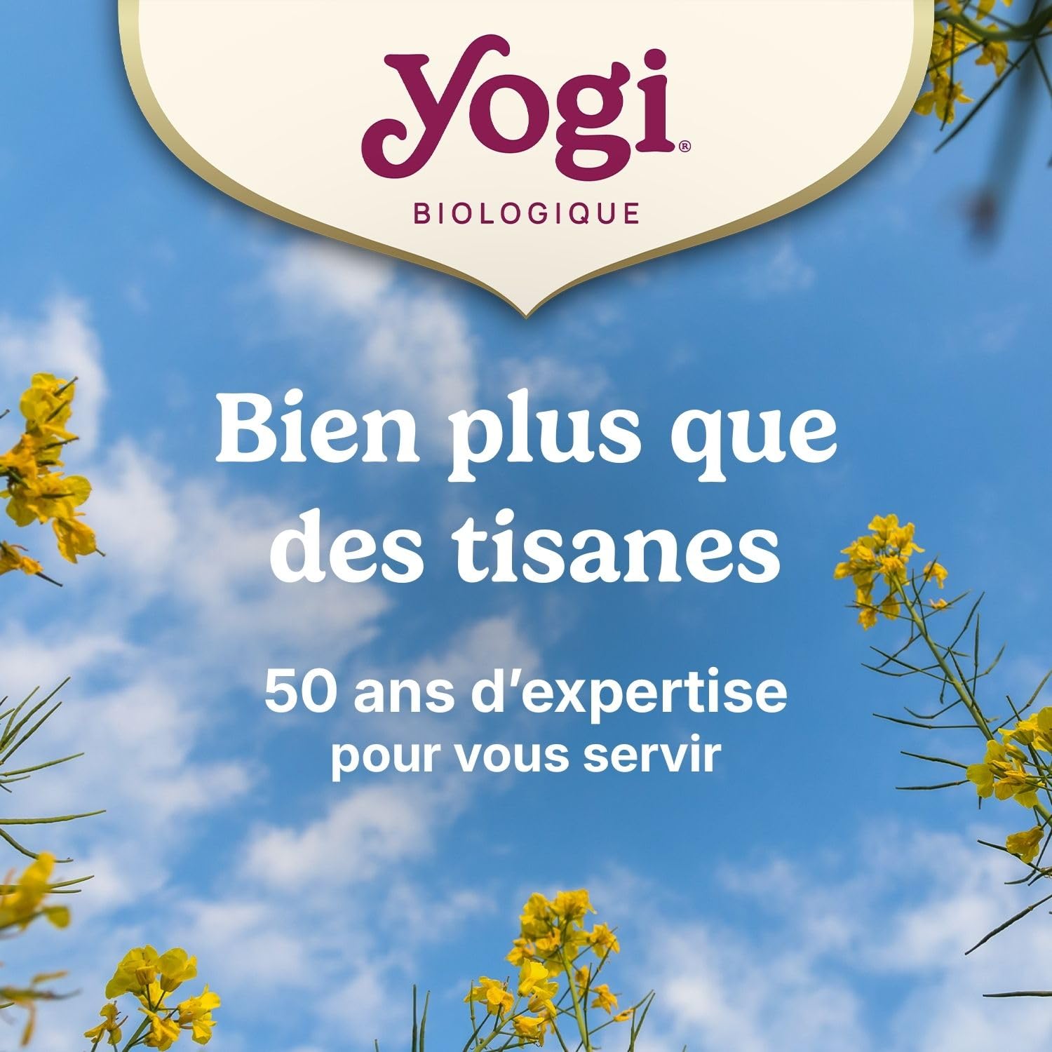 YOGI – Coffret Sélection Bio – Assortiment d’Infusions Ayurvédiques – Découverte de 9 Variétés – Coffret Cadeau Bien-Être – 45 Sachets
