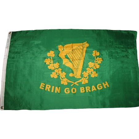 Flaggenkette Irland "Erin Go Bragh" - 5,9 M, 15 Fahnen à 15x22 Cm, Polyester