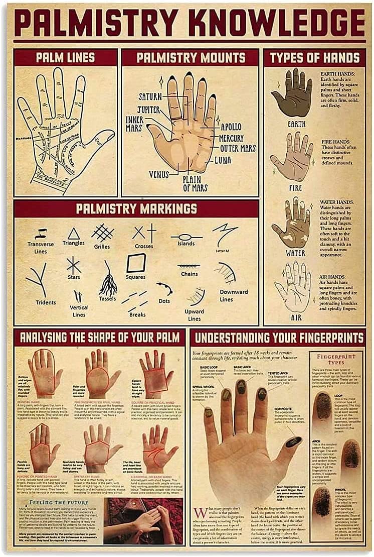 rayprint Palmistry Knowledge Metal Signs Vintage Club Decor Divination Poster Home Room Wall Decor Plaque 12x16 Inches