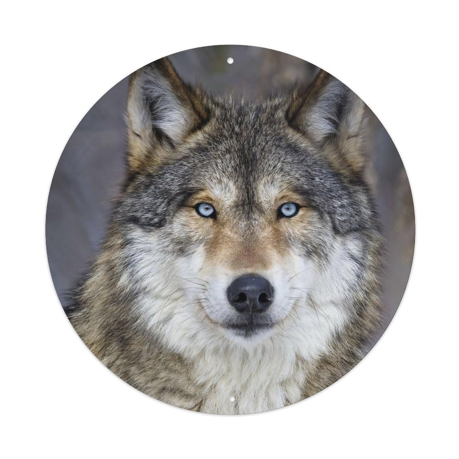 Grey Wolf Poster Nature Forest Wilderness Metal Tin Sign