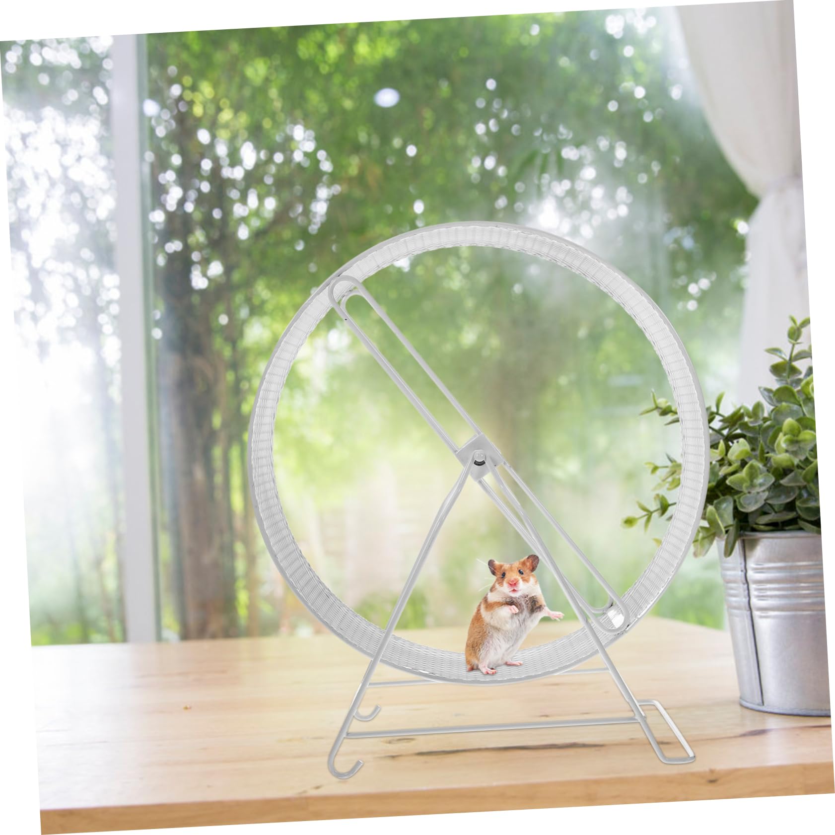 Beaupretty Rueda de Carrera Silenciosa para Hámster y Animales Pequeños, Juguete de Ejercicio de Hierro en Color Claro, Tamaño 32 Cm, Adecuado para Jaula de Mascotas y Roedores Pequeños