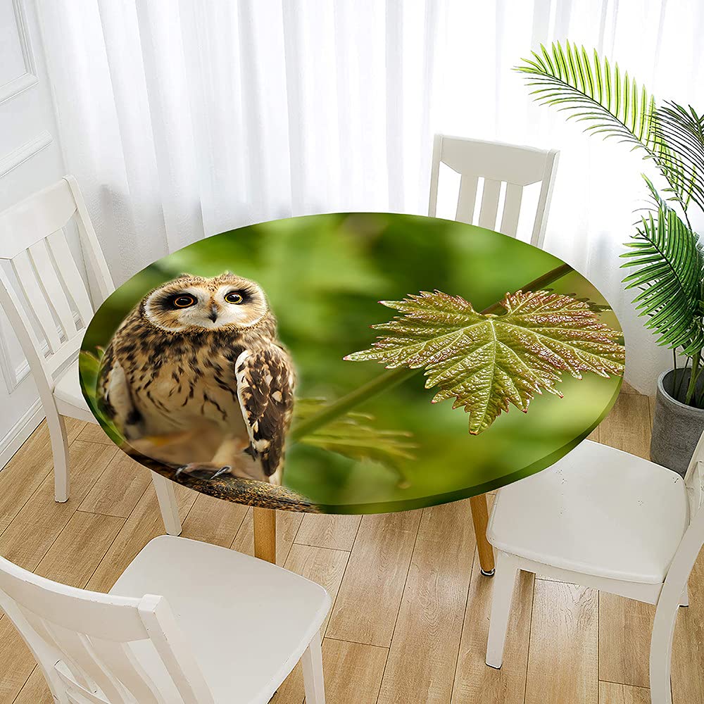 3D Hibou Rondes Nappes Avec Bord Élastique, Morbuy Nappes Rondes Anti Taches Lavable, Imperméable Polyester Nappe De Table Imprimé De Animal Pour Cuisine Jardin Fête Table (Hibou Noir,180cm