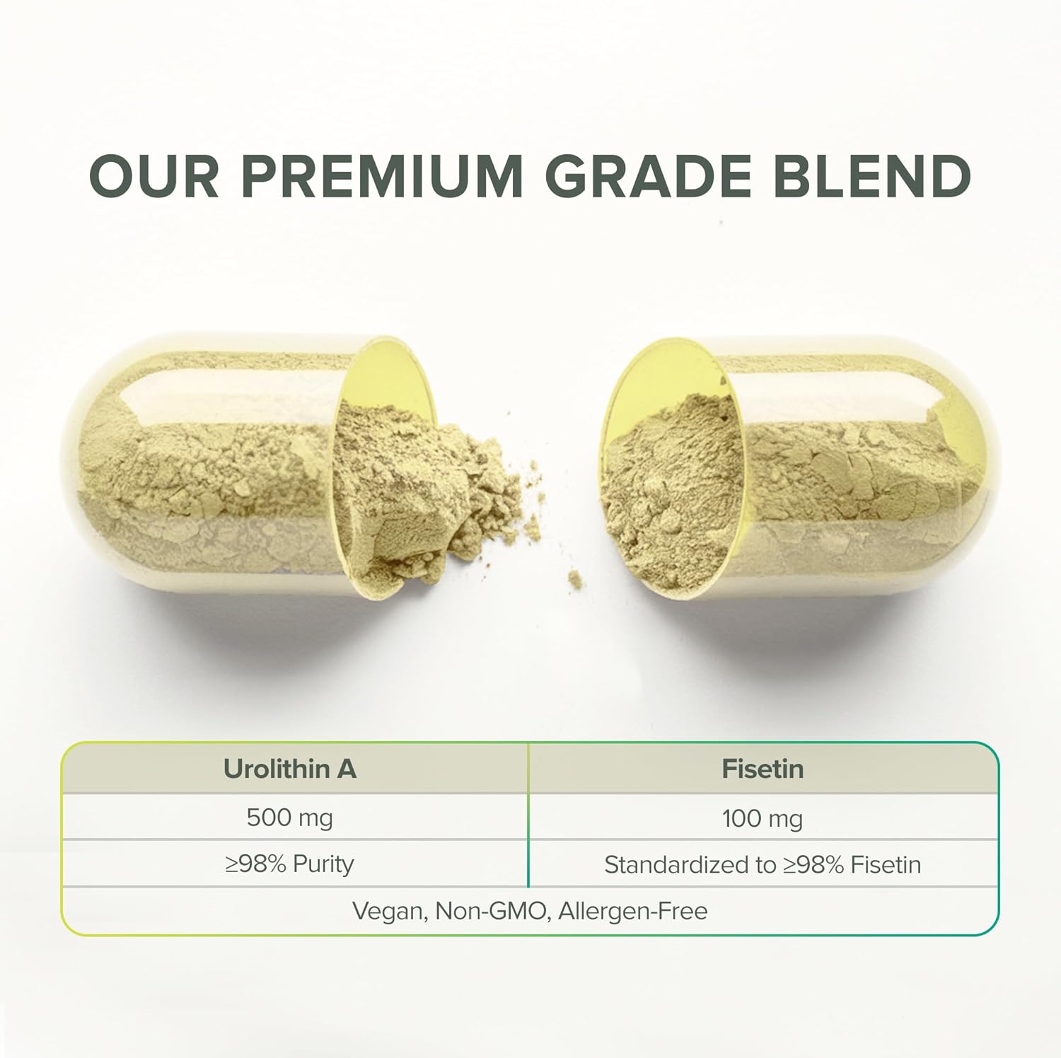 Prominent Nutrition Urolithin A + Fisetin, 30-Day Supply – Supports Vitality, Oxidative Stress, Muscle Recovery & Cellular Health – Vegan, Non-GMO, Gluten Free, 600mg Serving, 60 Capsules - Image 4