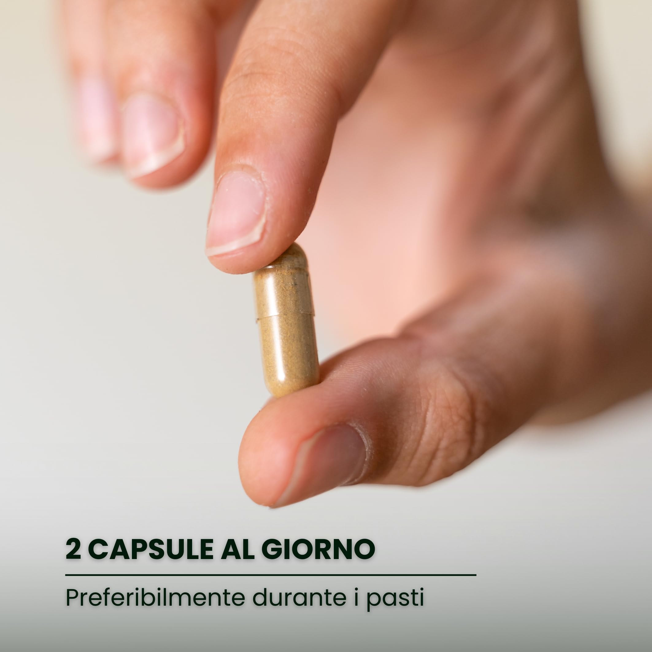 Nootropico naturale senza caffeina - Bacopa, Criniera di Leone, Colina, Ginkgo, Tè verde, Fosfatidilserina – Memoria, Concentrazione e Affaticamento Mentale - Senza additivi - Minfire Nutribiolite