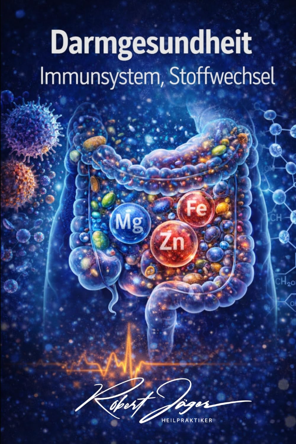 Darmgesundheit: Immunsystem Stoffwechsel (B-Wege Raus aus der Komfortzone)