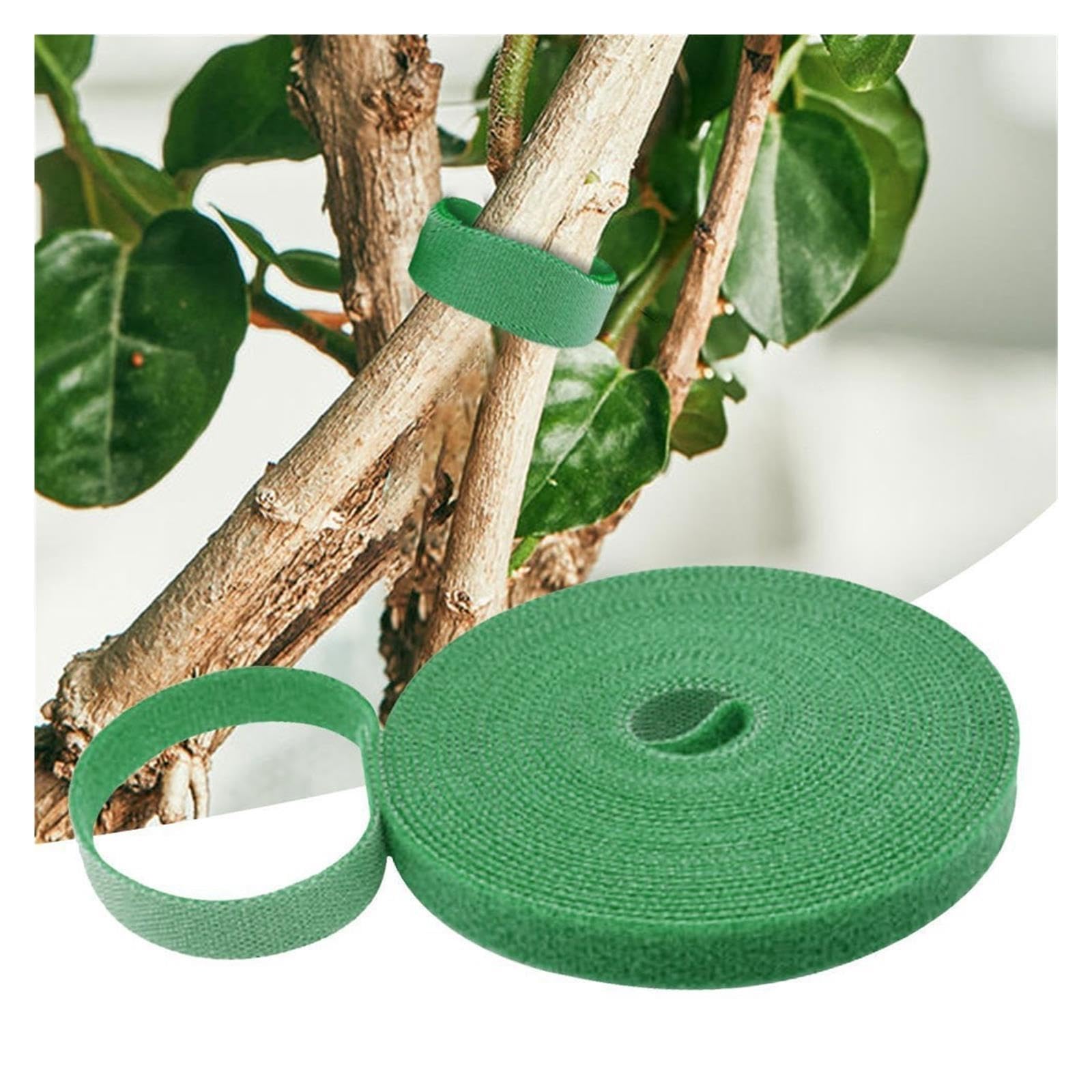 Filo for Legare Da Giardinaggio for Piante Verdi, 2 Pezzi, Autoadesivo