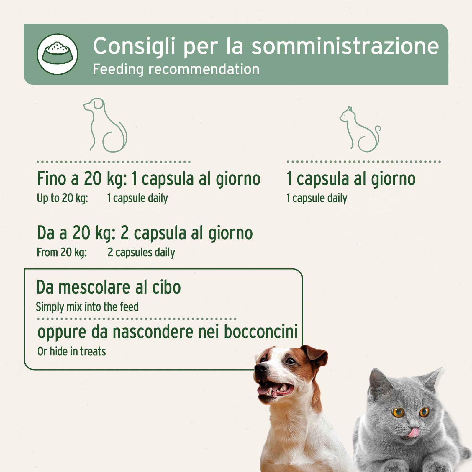 AniForte Omega 3 & 6 capsule di olio di salmone per cani 500 capsule - prodotto naturale con olio di salmone, integratore, supporta il metabolismo, la formazione delle ossa e un pelo lucido