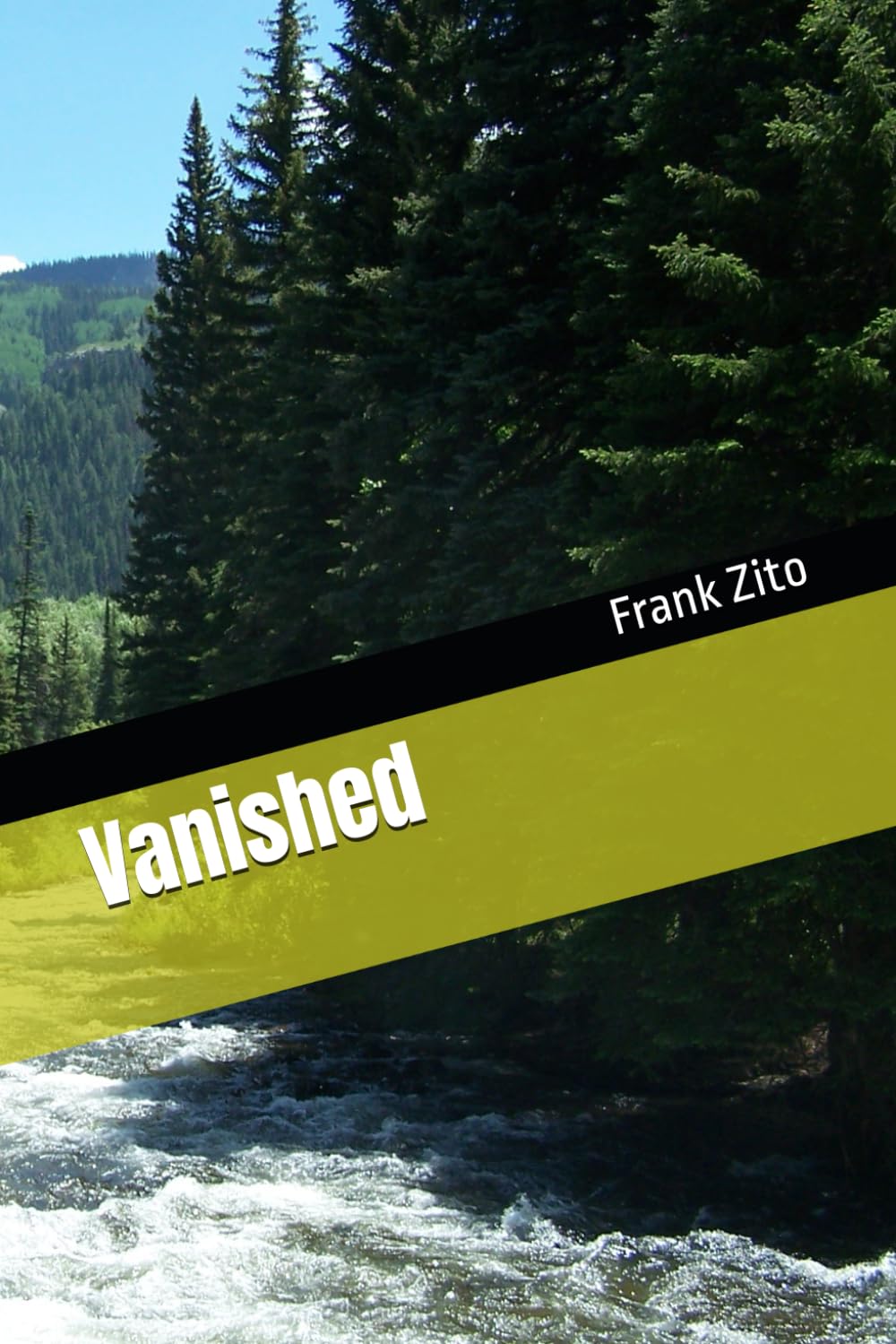 Vanished (Mystery Thrillers)