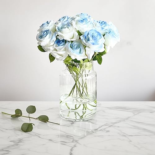 Miniatura 7 de BLOFLO - Jarrón de vidrio transparente, florero grande de vidrio de 9 pulgadas para flores, jarrones modernos de vidrio grueso para centros de mesa,