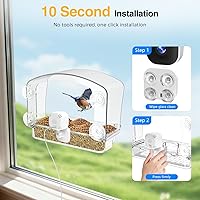 Vista 6 de Cámara de pájaro con ventana de enfoque cerrado, 2K 3MP con cable, cámara de pájaro con ventosa de cristal, identificación de pájaros, tarjeta