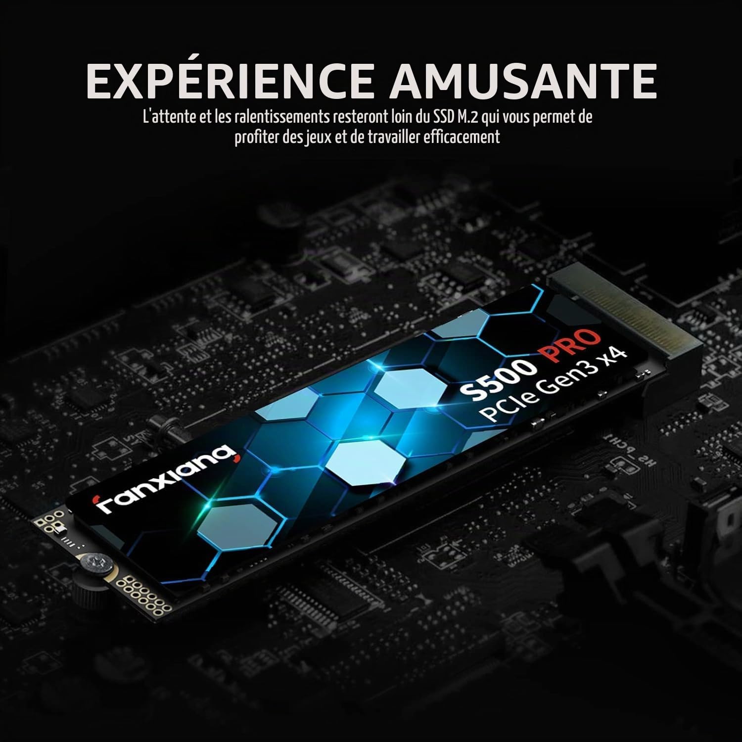 fanxiang SSD NVMe 256Go SSD M.2 PCIe Gen3.0x4 2280 Disque SSD Interne 256Go, Jusqu'à 3000Mo/s en Lecture - Compatible avec Notebook, Desktop, PC(S500Pro)