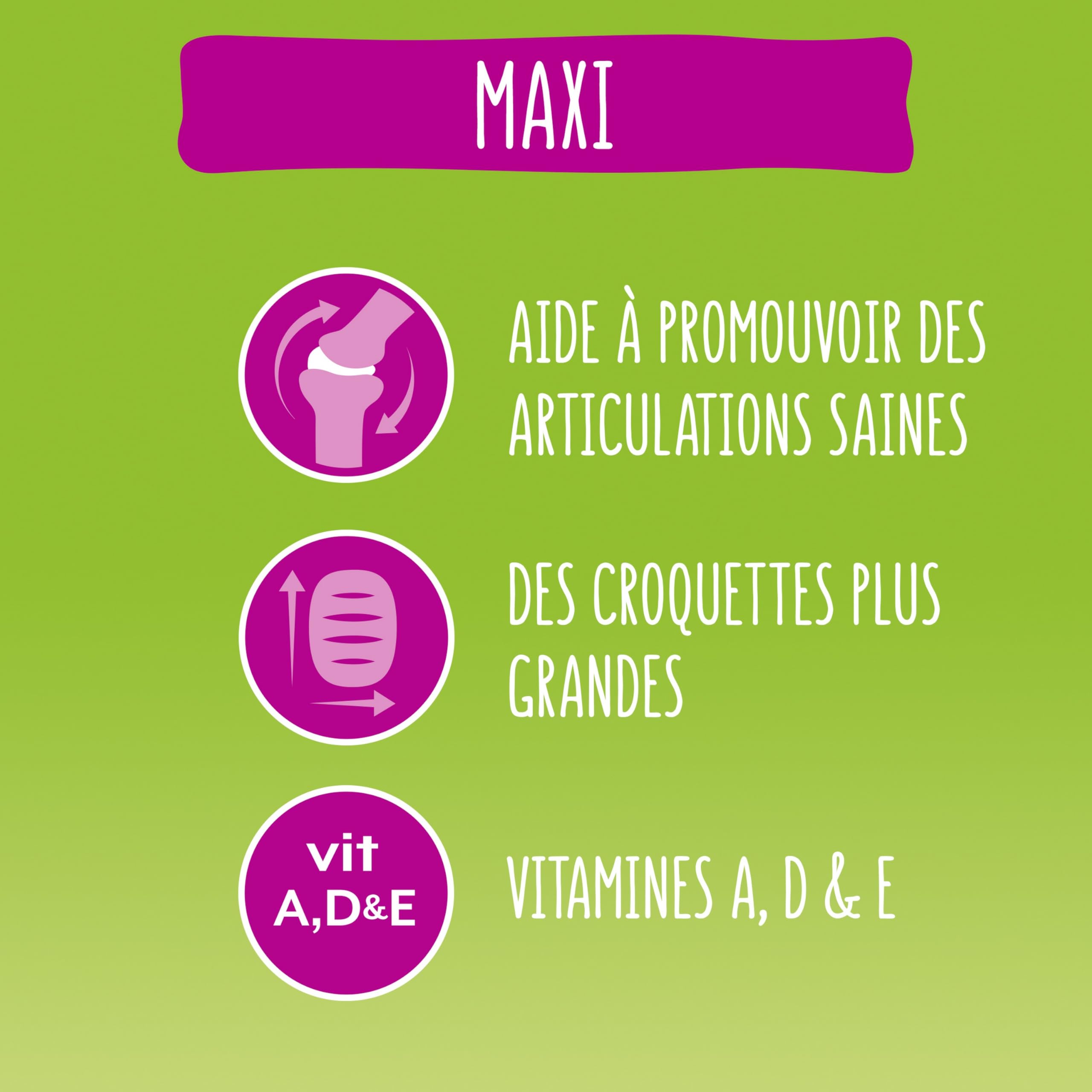 FRISKIES | Maxi | Chien | Croquettes pour Chiens Adultes de Grande Taille | au Boeuf | Source de protéines de Haute qualité | Sac | 12 KG