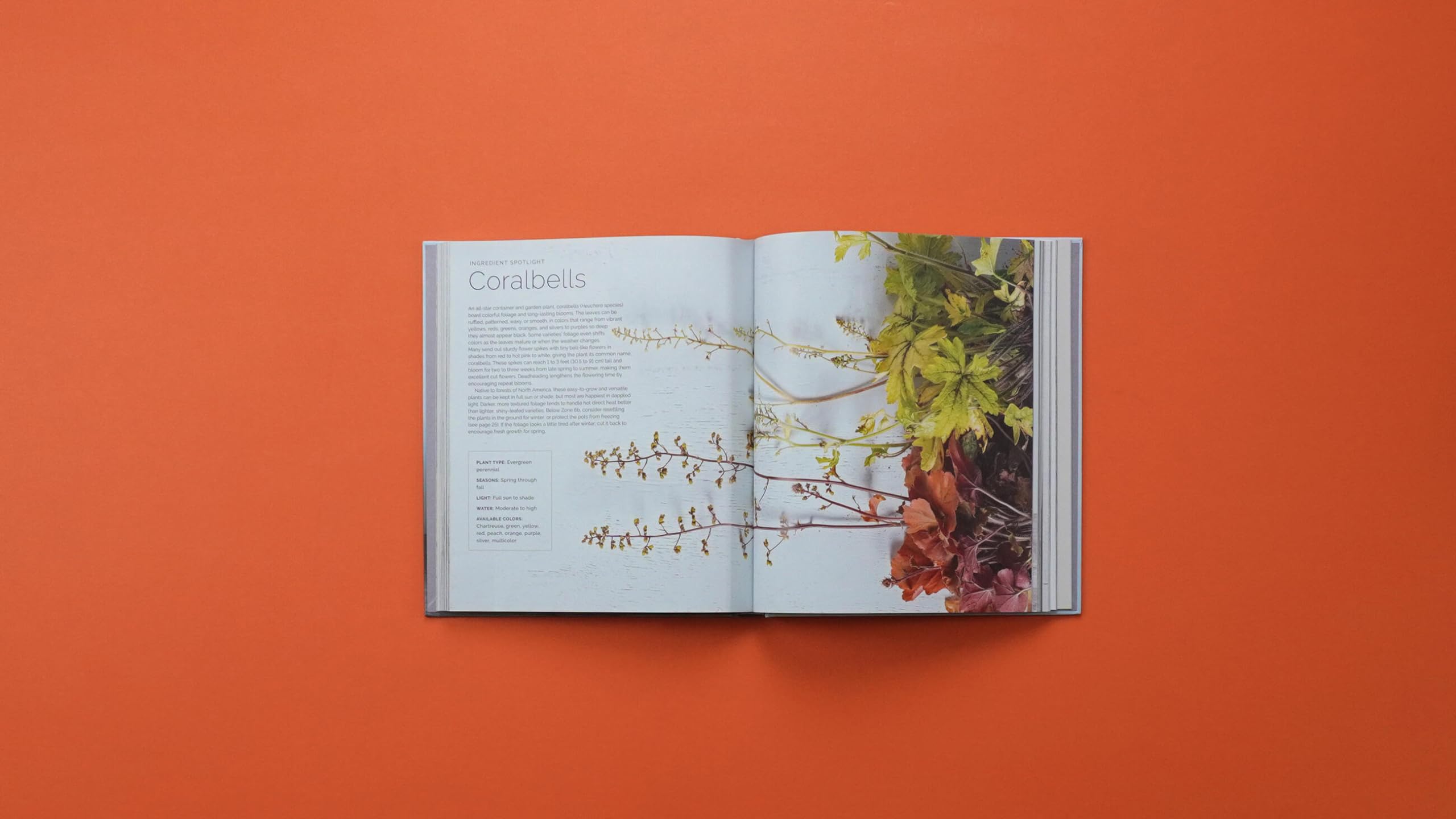 The Container Garden Recipe Book: 57 Designs for Pots, Window Boxes, Hanging Baskets, and More