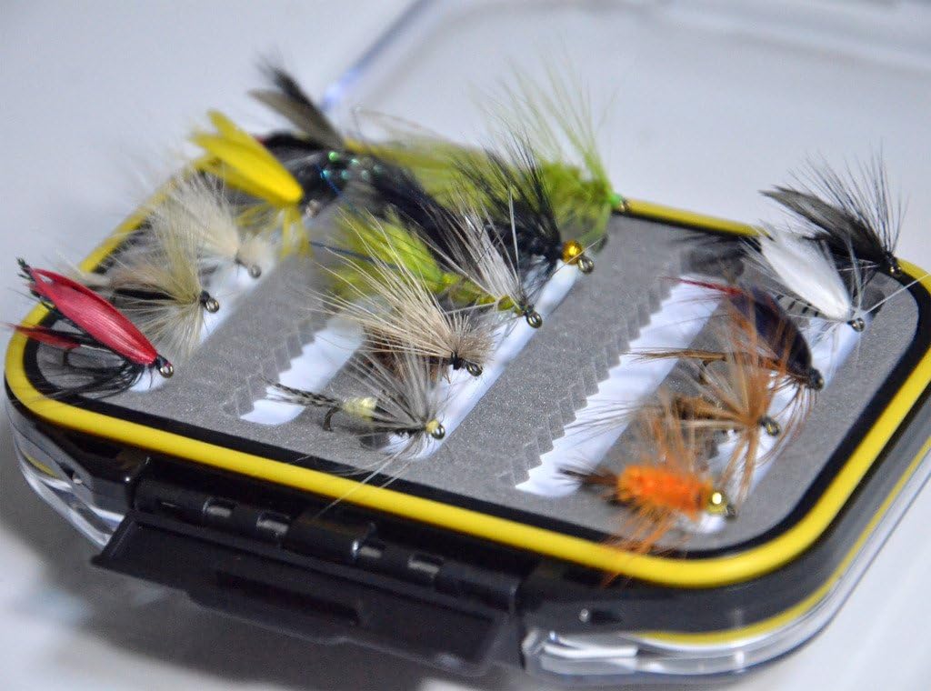 Outdoor Planet Double Side Waterproof Pocketed Fly Box + Assorted Trout Fly Fishing Lure Pack of 15 Pieces Fly Lure : Sports & Outdoors
