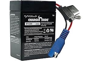 Schumacher Electric 6V Battery for Ride On Toys with B Connector -...